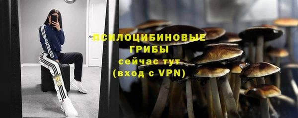 прущая мука Абдулино