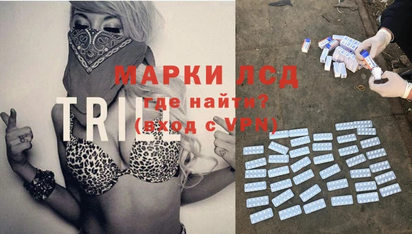 СК Корсаков