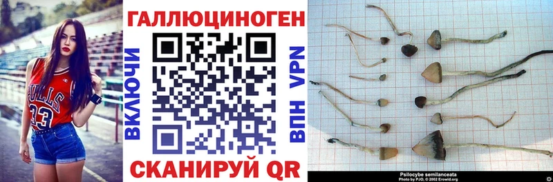 omg ссылки  Ак-Довурак  Галлюциногенные грибы GOLDEN TEACHER  где продают  